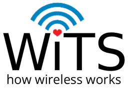 WiTS Logo